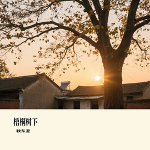 梧桐树下