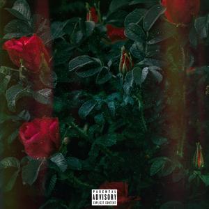 Sunsets (feat. OG Bambii)