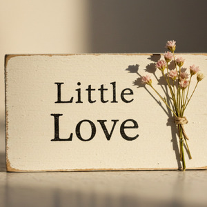 小さな愛