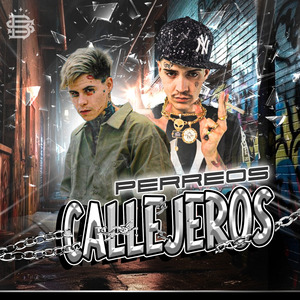 Perreos Callejeros