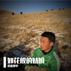 你是否变了-供波郎甲