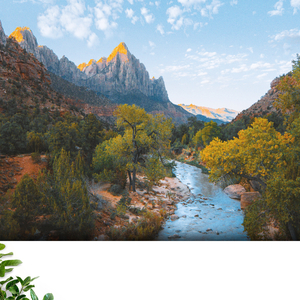 Éclaboussure de la rivière