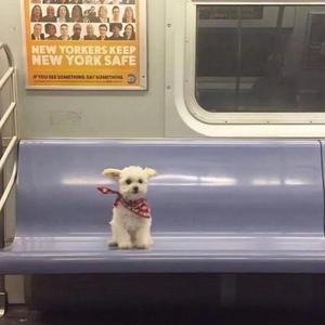 我有多么爱你（吉他版翻唱）