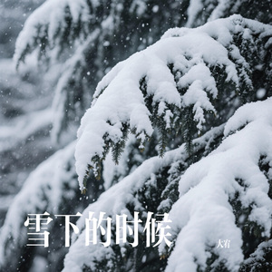 雪下的时候