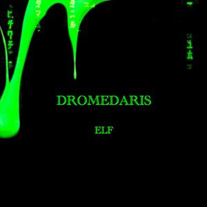 Dromedaris