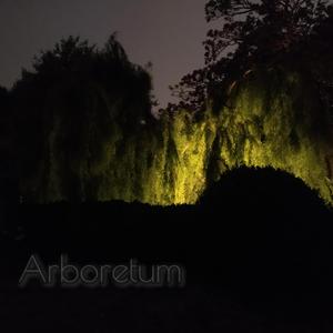 After Sunset With You:Cello Reprise (feat. Brian Halloran)