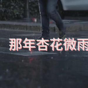 那年杏花微雨