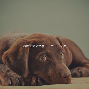 Modern Lobby Loungers