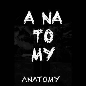 Anatomy