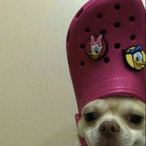 Out Of The Woods (slowed)