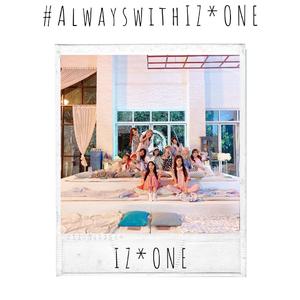 Panorama（翻自 IZONE）