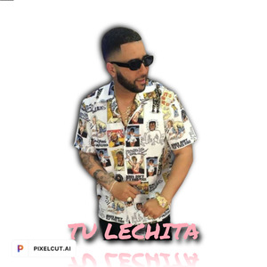 Tu Lechita