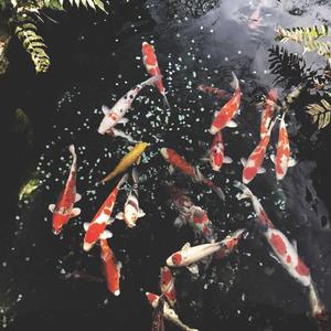 这一生关于你的风景