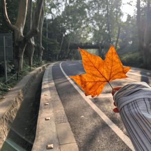 我都明白 可眼泪还是往下流