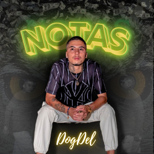 Notas