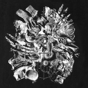 Sothis (Dead Heat Remix)