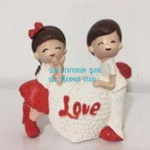 Seni seviyorum şiiri