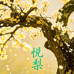悦梨