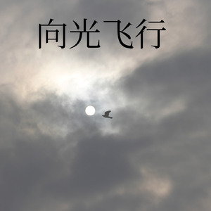 飞向光