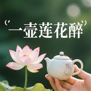 一壶莲花醉 (风无念 Remix)