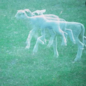 梦游(prod.vanishinsight)