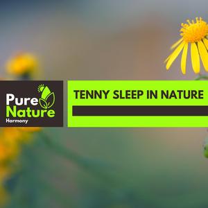 Exotic Northern Mockingbird