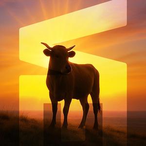 Bessie the Cow