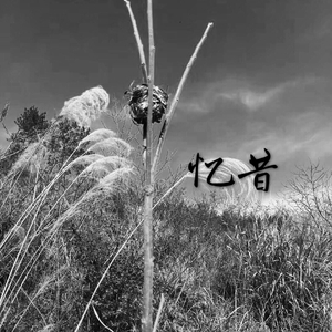 我想陪你一起浪费这段时光