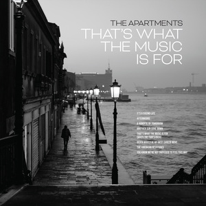 Afternoons