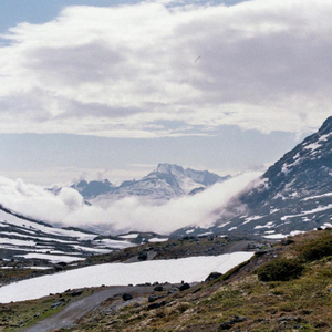 you feel like summer