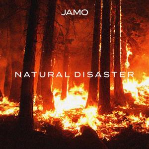 Natural Disaster