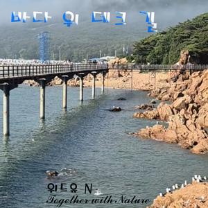 바다 위 데크 길