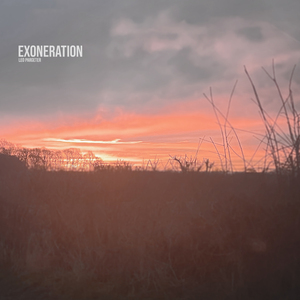 Taine (Slowed & Reverb Version)