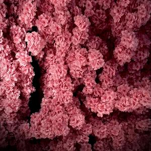 Goodnight Baby (I forgot I made this version of it)