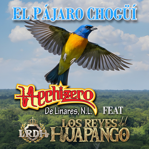 El Pájaro Chogüí