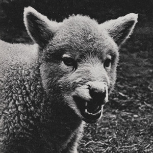 Светится экран