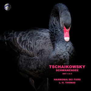 Schwanensee, Act I, Pas de deux : I & II. Tempo di valse - Andante - Allegro