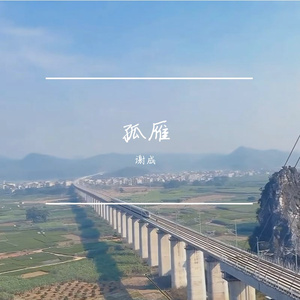 孤雁