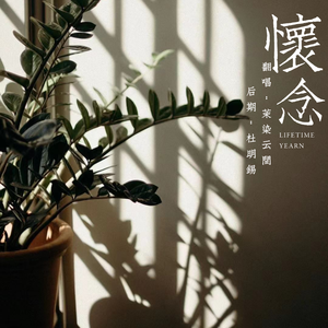 怀念 cover：王菲