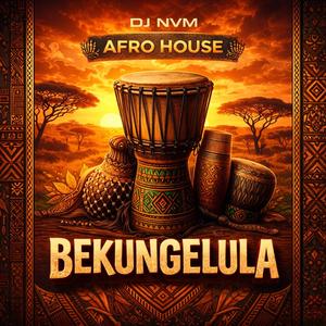 Bekungelula