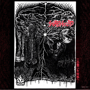 この想いを何処へ…