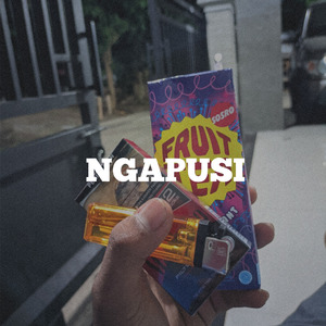 Ngapusi