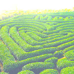 ダンジョン