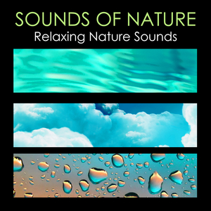 Sounds of Nature (Nature Sounds for Meditation and Relaxation)