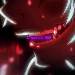 C'est La Vie (sped up)