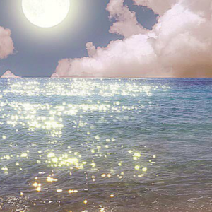 你懵然的闯进我的梦境