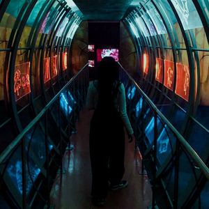 Casa de Papel