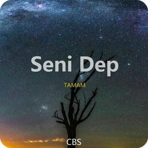 Seni Dep