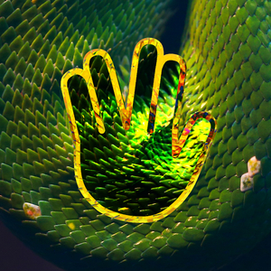 Гадюка гэнг