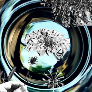 consciousness